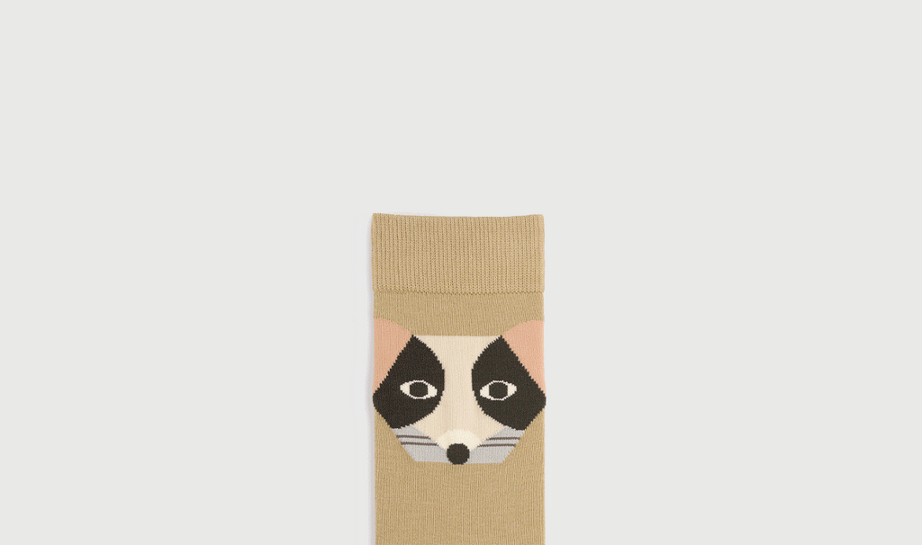 SEMIBOLD ROAR ATHLEISURE CREW SOCKS SR230112035PW SR230112035PM 5 PACK ONESIZE