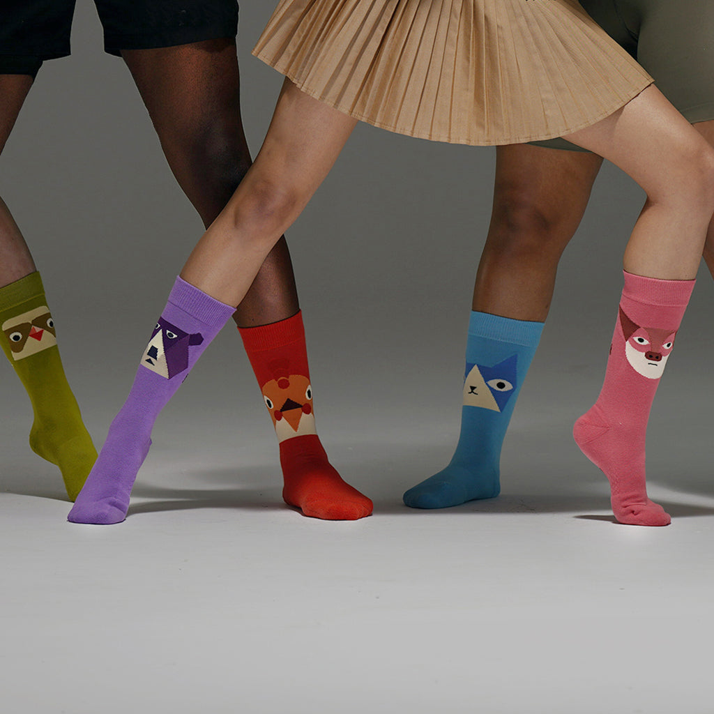 SEMIBOLD ROAR ATHLEISURE CREW SOCKS SR23010803WP SR23010303LB SR23010903RR SR23010403CT SR23010603AP GREEN PURPLE ORANGE BLUE PINK ONESIZE