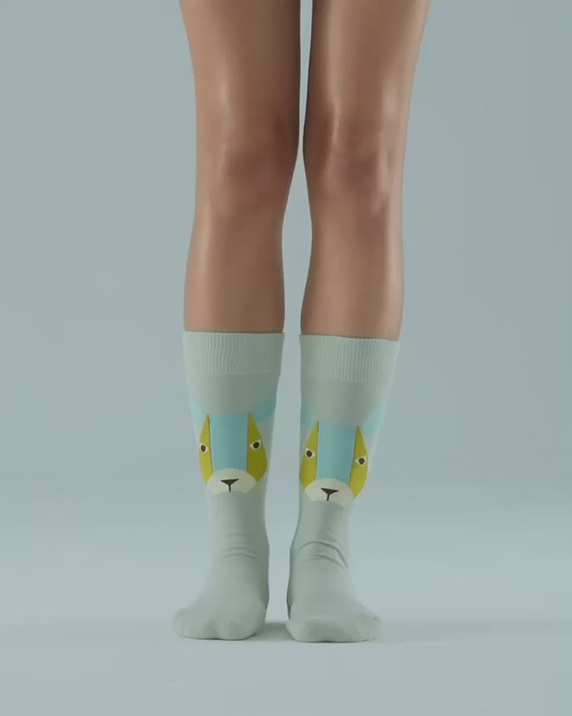 SEMIBOLD LUCKY RABBIT ATHLEISURE CREW SOCKS VIDEO SR23010803LR GREEN ONE SIZE